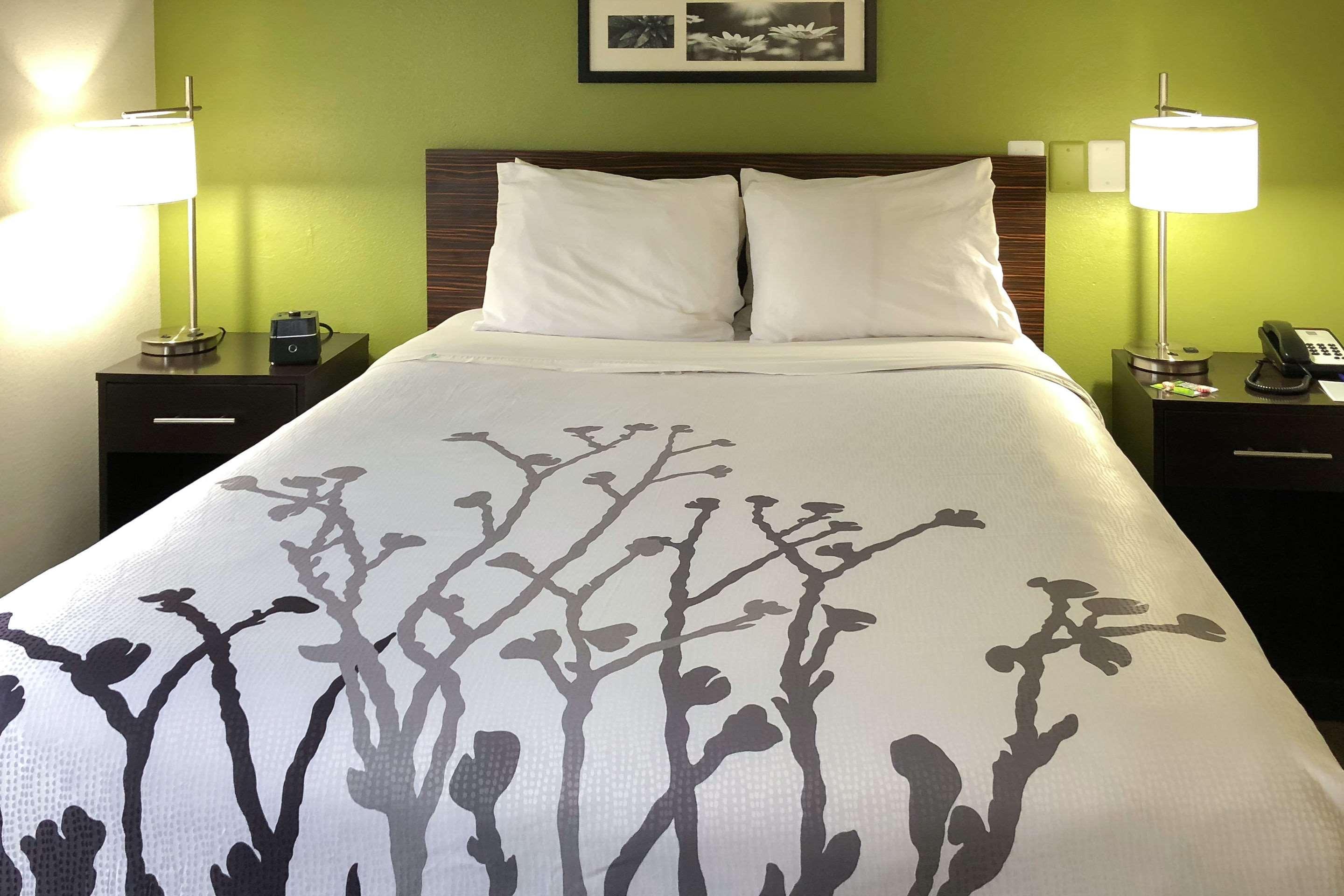 Sleep Inn McDonough Exteriér fotografie